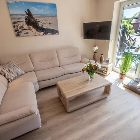 Hund Und Apartment